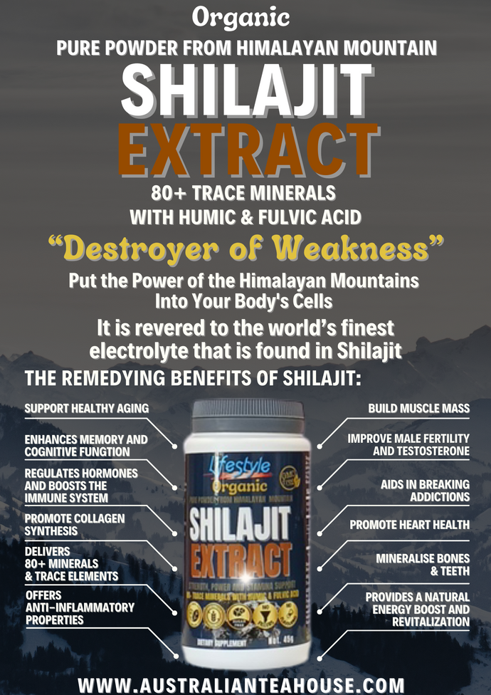 SHILAJIT EXTRACT POWDER - 1  month supply