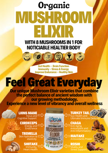 MUSHROOM ELIXIR 180g - 3 Months Supply